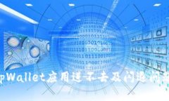 如何解决tpWallet应用进不去