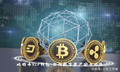 比特币VIP钱包：你的数字资产安全之选