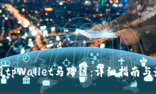 如何使用tpWallet马蹄链：详细指南与最佳实践