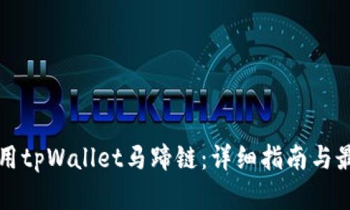 如何使用tpWallet马蹄链：详细指南与最佳实践