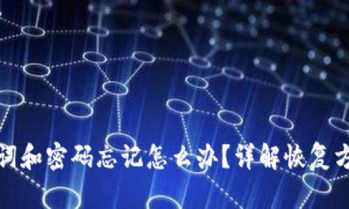 tpWallet助记词和密码忘记怎么办？详解恢复方法与安全措施