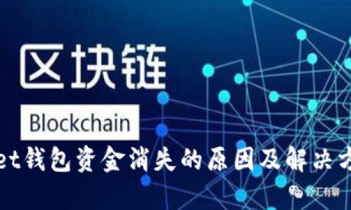 tpWallet钱包资金消失的原因及解决方案详解