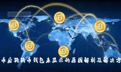 提币后狗狗币钱包未显示的原因解析及解决方案