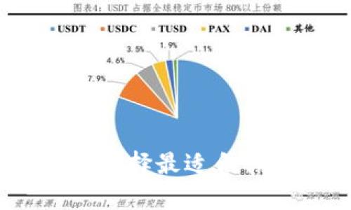 数字货币的主流钱包解析：选择最适合你的数字资产存储解决方案