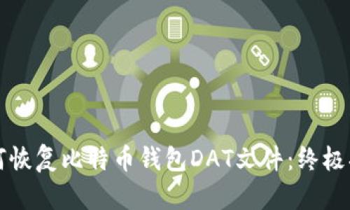 如何恢复比特币钱包DAT文件：终极指南