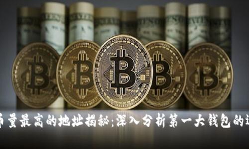 以太坊持币量最高的地址揭秘：深入分析第一大钱包的运作及影响