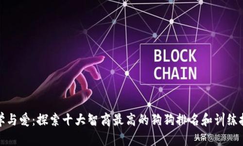 科学与爱：探索十大智商最高的狗狗排名和训练技巧