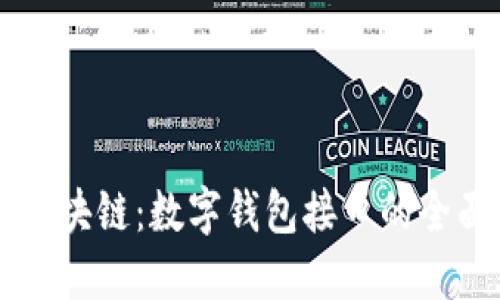 掌握区块链：数字钱包接口的全面指南