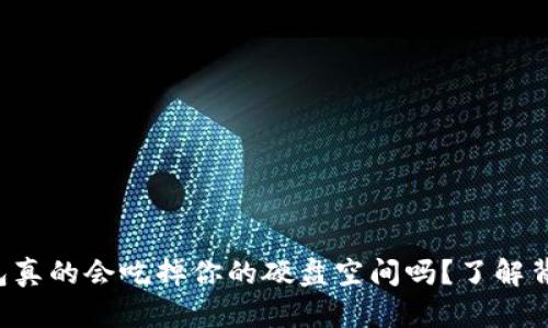 比特币钱包真的会吃掉你的硬盘空间吗？了解背后的真相！