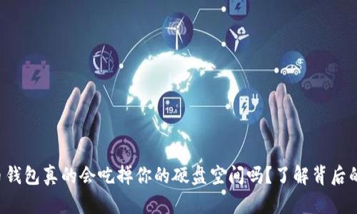 比特币钱包真的会吃掉你的硬盘空间吗？了解背后的真相！