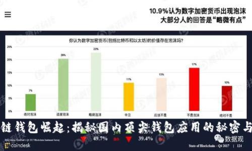 区块链钱包崛起：揭秘国内顶尖钱包应用的秘密与趋势