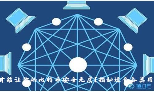哪些钱包才能让你的比特币安全无虞？揭秘适合各类用户的选择！