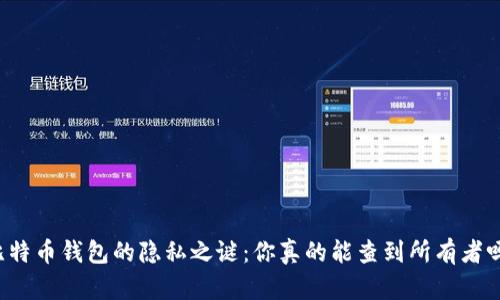 比特币钱包的隐私之谜：你真的能查到所有者吗？