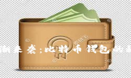 

    区块链热潮来袭：比特币钱包的秘密与未来展望


    区块链热潮来袭：比特币钱包的秘密与未来展望