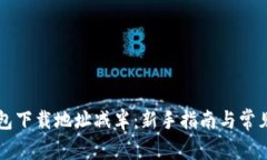 以太坊钱包下载地址减半：新手指南与常见问题