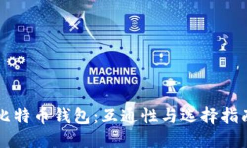比特币钱包：互通性与选择指南