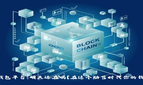 虚拟币钱包平台：明天还在吗？在这个动荡时代你的钱安全吗？