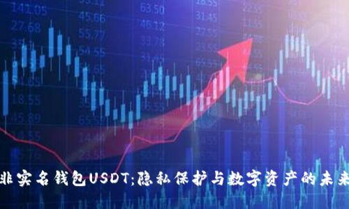 海外非实名钱包USDT：隐私保护与数字资产的未来之路