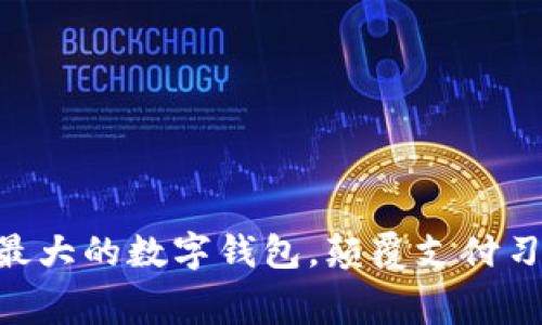 2023年：世界最大的数字钱包，颠覆支付习惯的幕后英雄