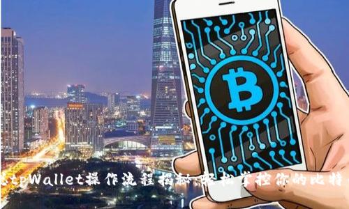 中本聪tpWallet操作流程揭秘：轻松掌控你的比特币资产