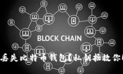 “丢失比特币钱包？私钥拯救你！”