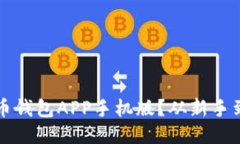 如何安全下载比特币钱包APP手机版？从新手到高