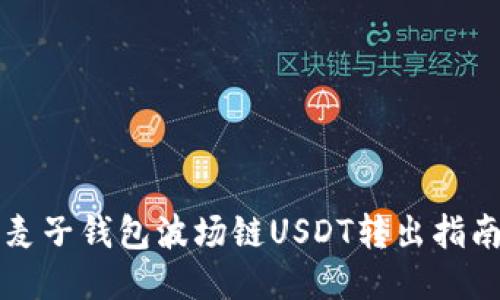 麦子钱包波场链USDT转出指南