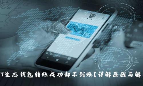 : USDT生态钱包转账成功却不到账？详解原因与解决方案