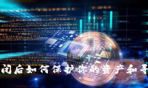 tpWallet倒闭后如何保护你的资产和寻找替代方案