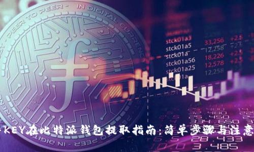 币乎KEY在比特派钱包提取指南:简单步骤与注意事项