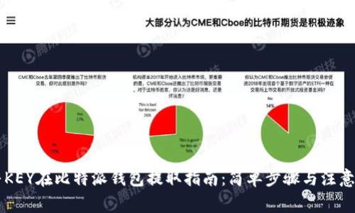 币乎KEY在比特派钱包提取指南:简单步骤与注意事项