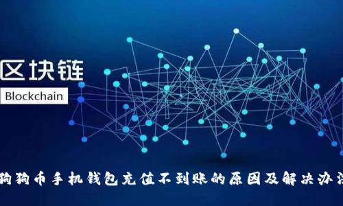 狗狗币手机钱包充值不到账的原因及解决办法