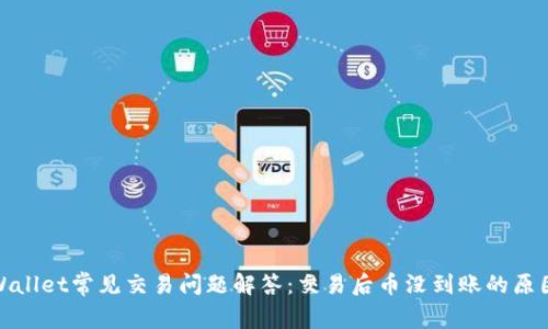 : tpWallet常见交易问题解答：交易后币没到账的原因分析