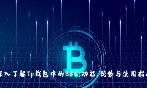 深入了解Tp钱包中的BSC：功能、优势与使用指南