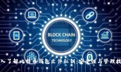 深入了解比特币钱包文件