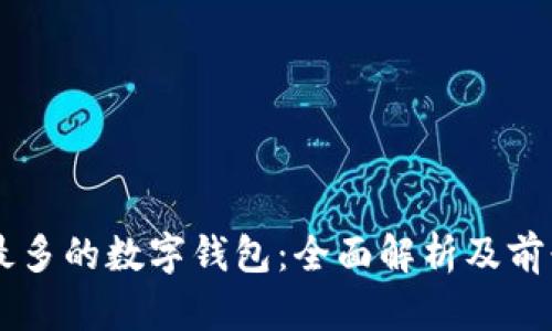 用户最多的数字钱包：全面解析及前景展望