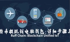 如何将比特币提现到电脑钱包：详细步骤与注意