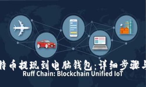 如何将比特币提现到电脑钱包：详细步骤与注意事项