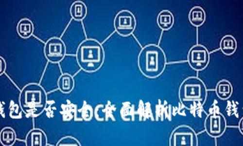 中国禁比特币钱包是否安全：全面解析比特币钱包的风险与防护