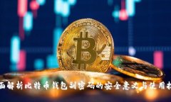 全面解析比特币钱包副密码的安全意义与使用技