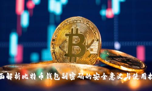 全面解析比特币钱包副密码的安全意义与使用技巧