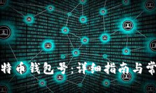 如何查看比特币钱包号：详细指南与常见问题解答